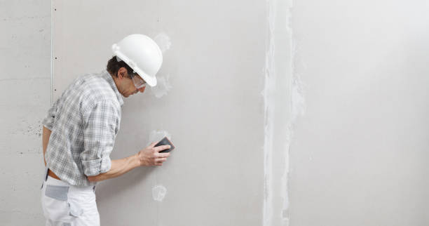 Best Post-Construction Mold Inspection  in Hobart, WA