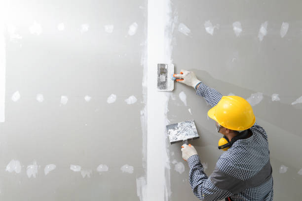 Best Crawl Space Mold Remediation  in Hobart, WA