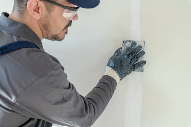 Best Basement Mold Removal  in Hobart, WA