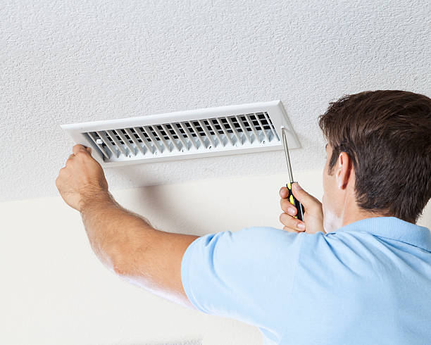 Environmental Consulting for Mold Prevention in Hobart, WA