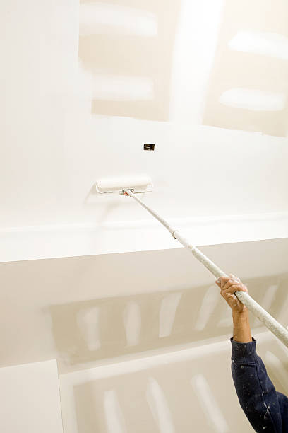 Best Comprehensive Air Testing for Mold Contaminants  in Hobart, WA