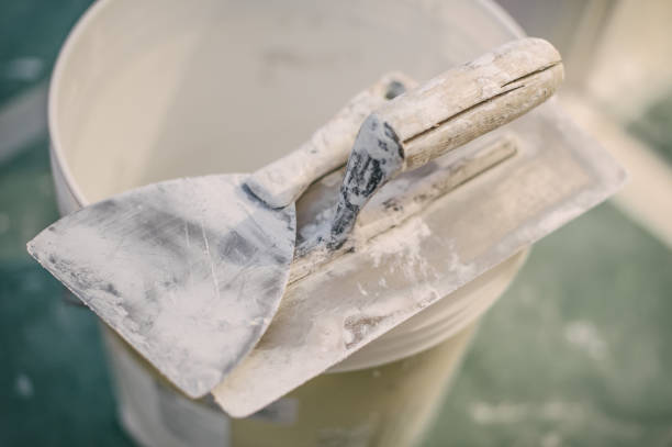 Best Asbestos and Lead Testing During Mold Inspection  in Hobart, WA